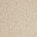 Variante evolve-033 (Velours-Teppich)